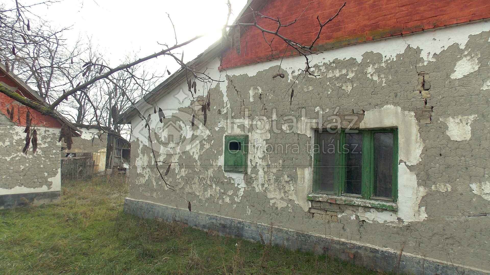 Homlokzat