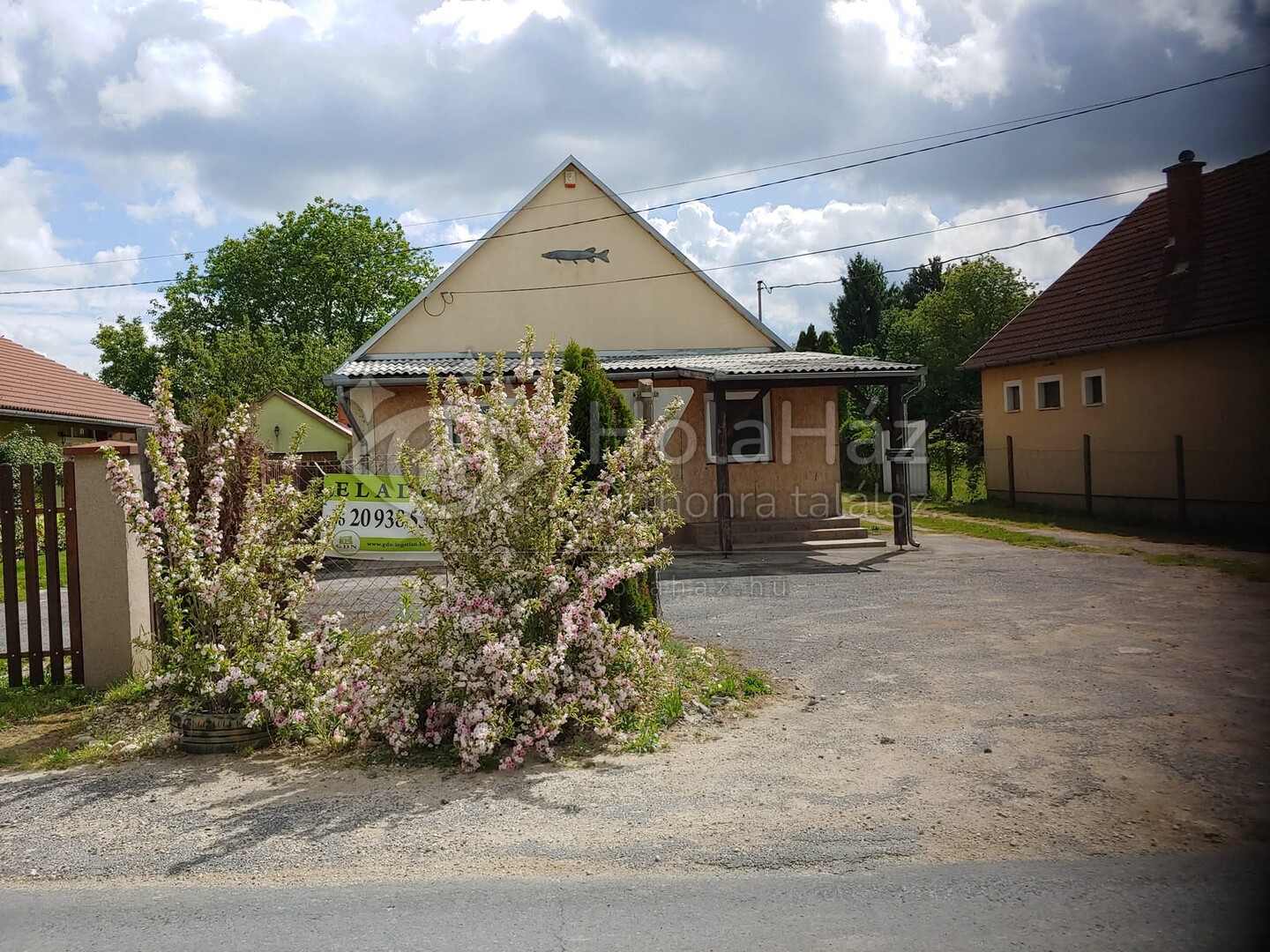 Ház