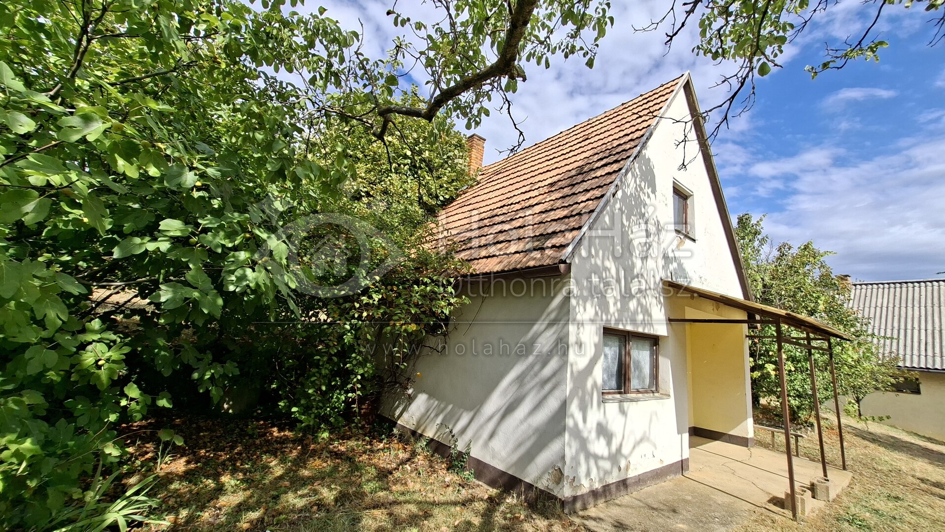 Ház