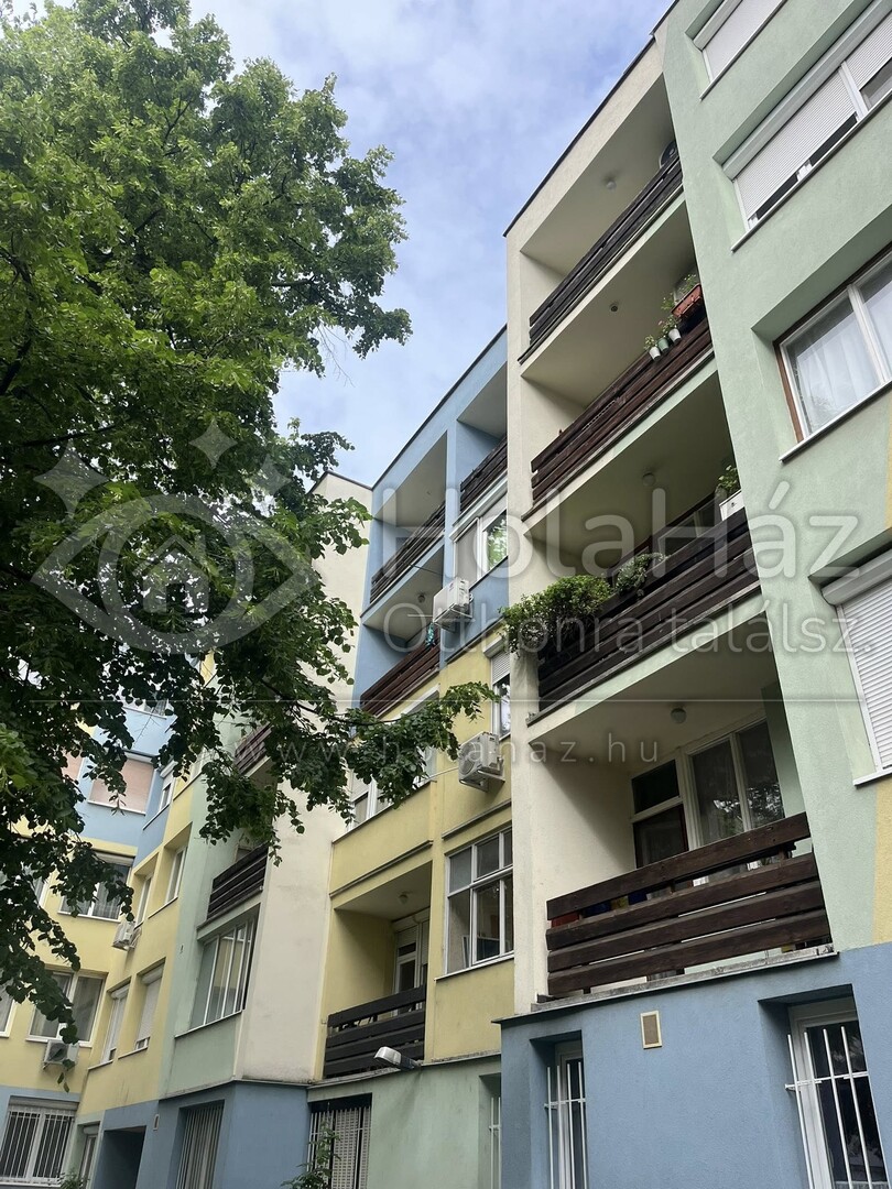 Homlokzat
