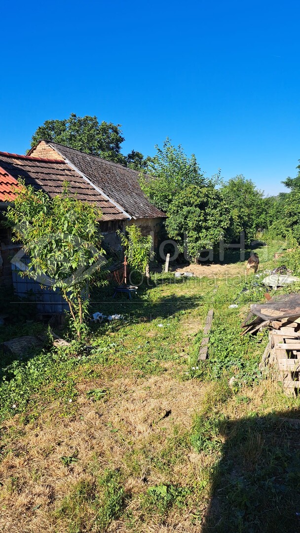 Udvar