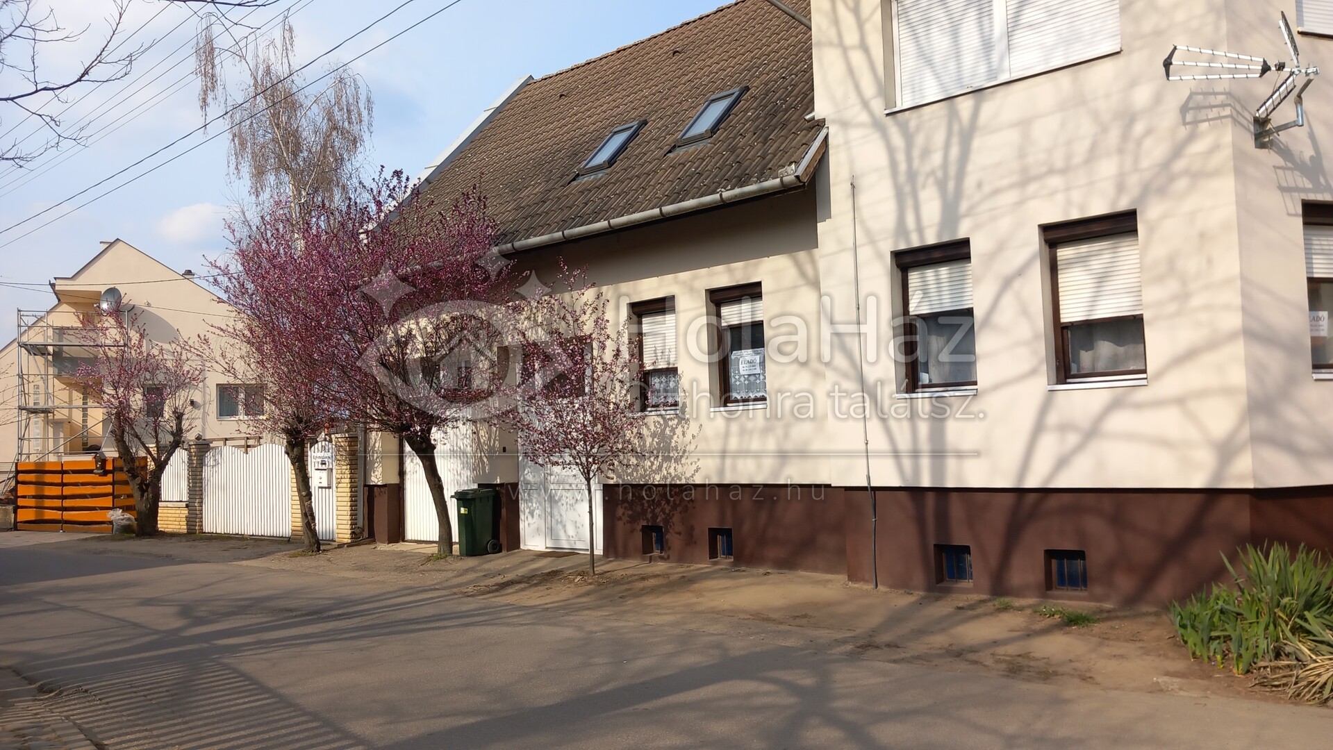 Ház