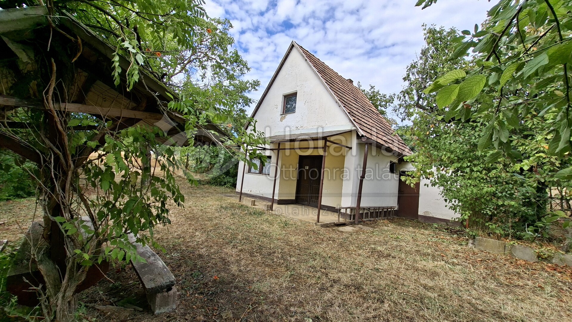 Ház