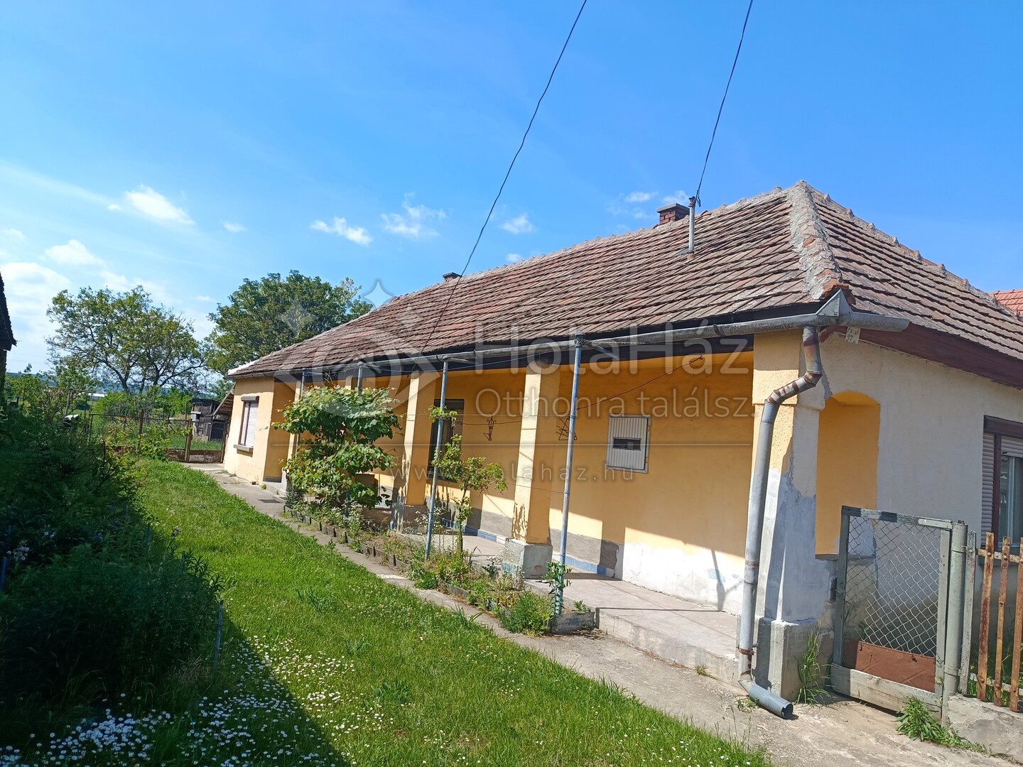 Ház
