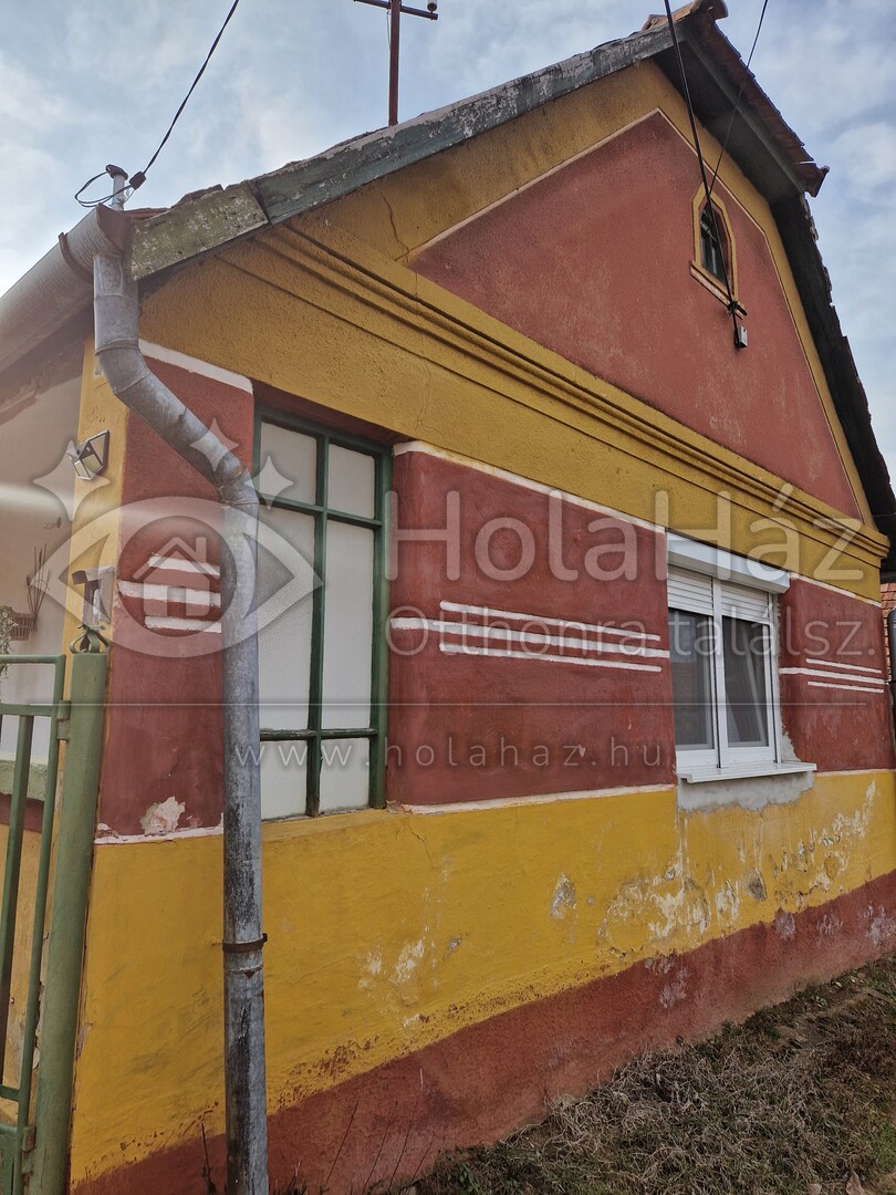 Ház