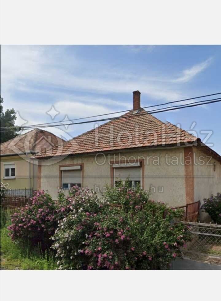 Ház