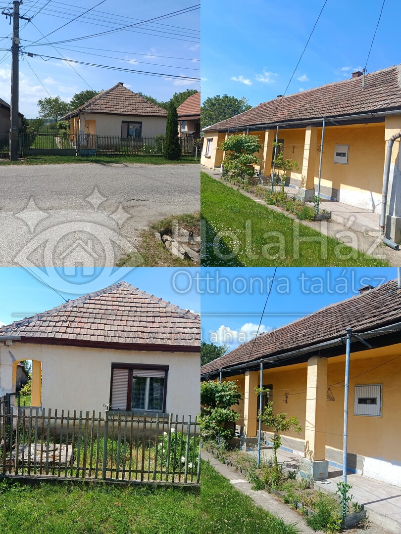 Ház