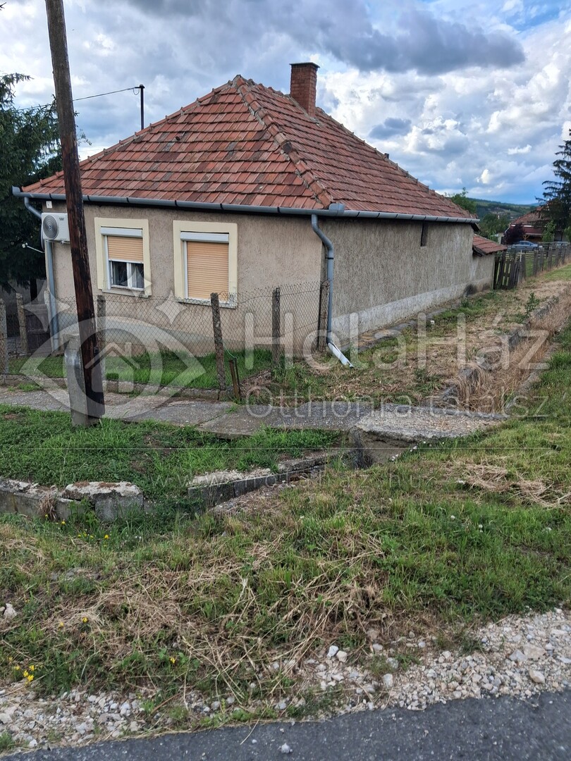 Ház