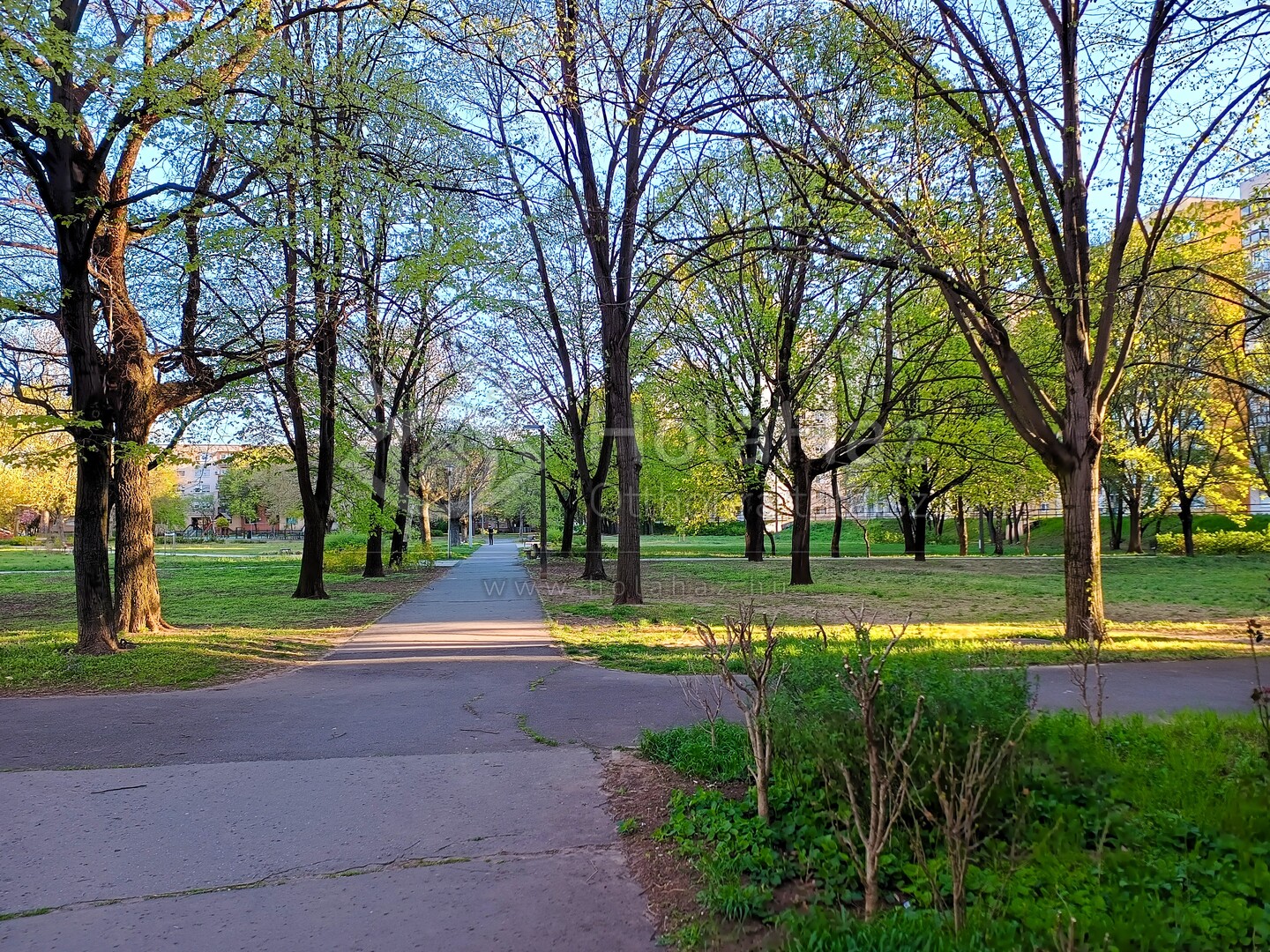 Park