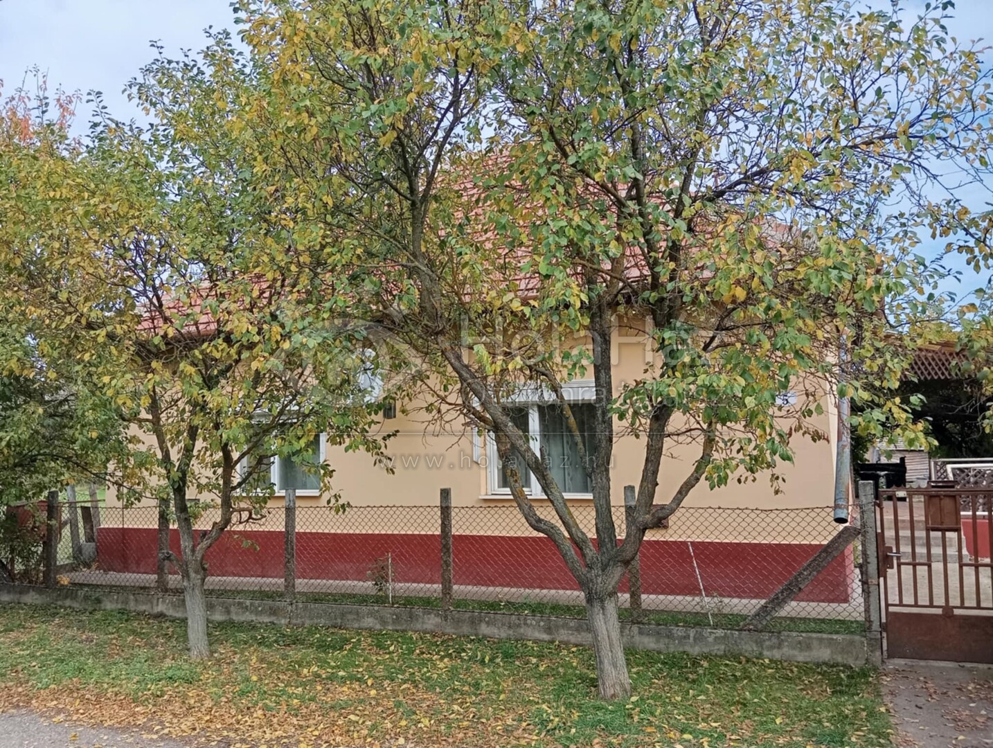 Ház
