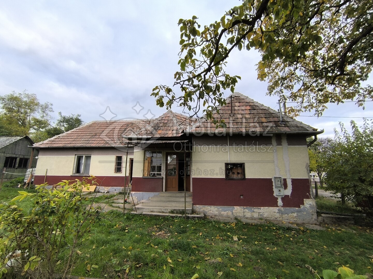 Ház