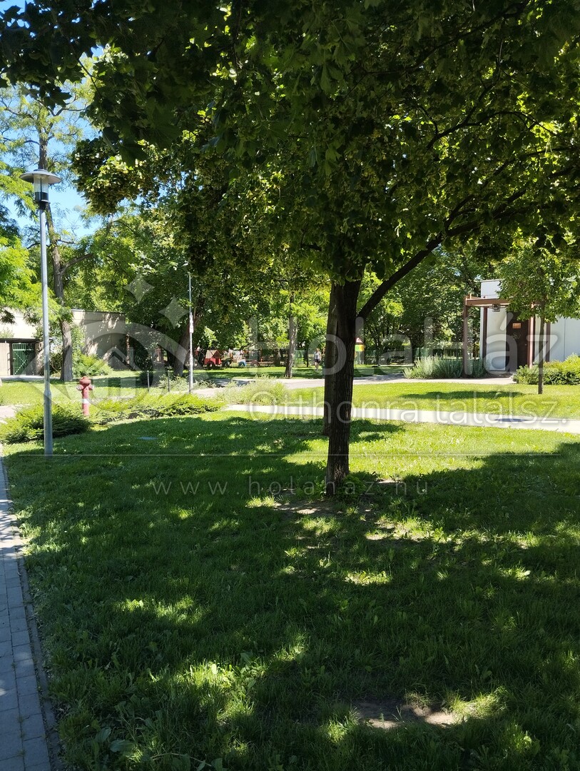 Udvar