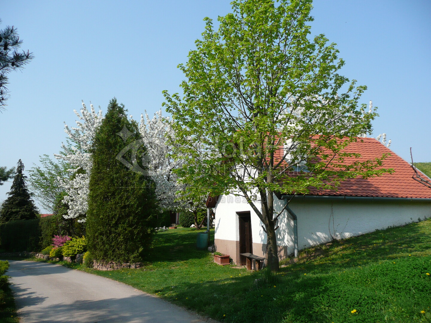 Ház