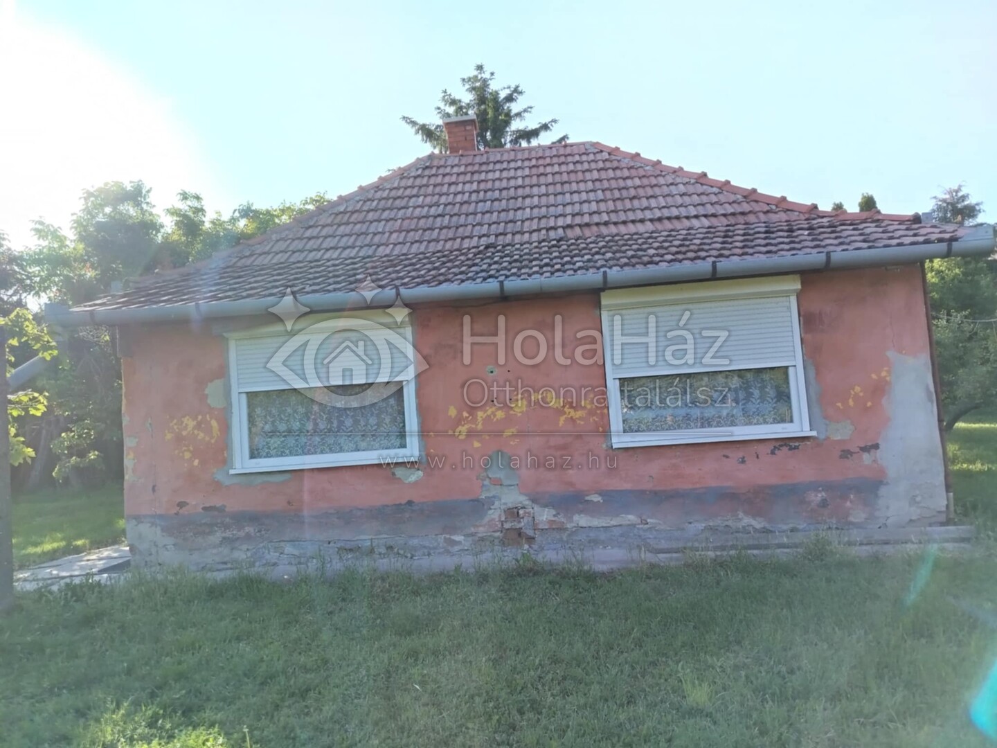 Ház