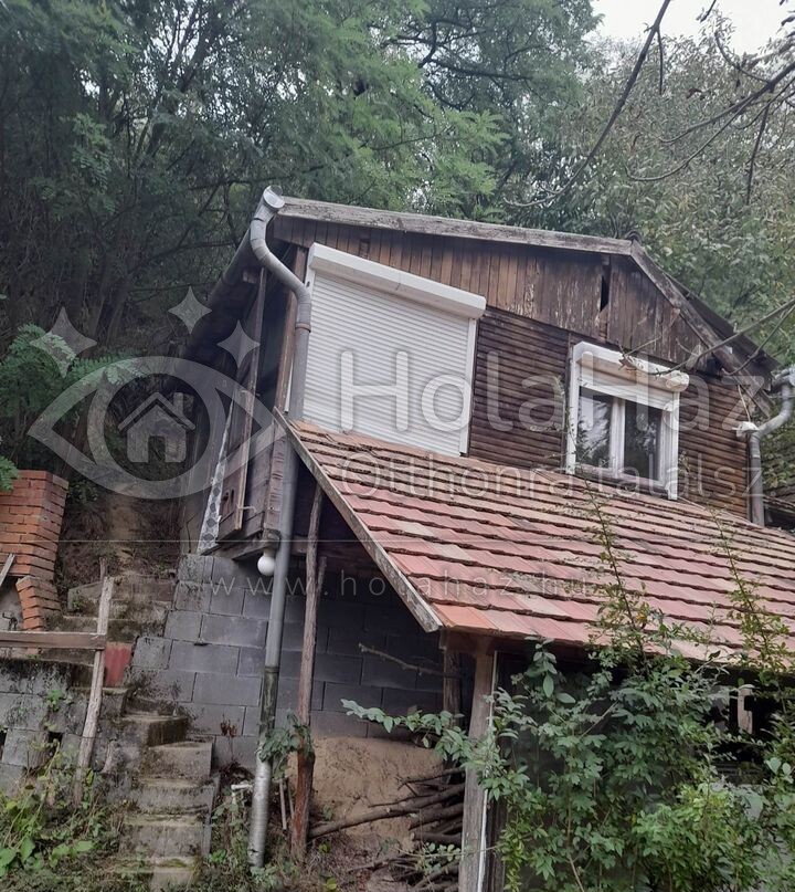 Ház