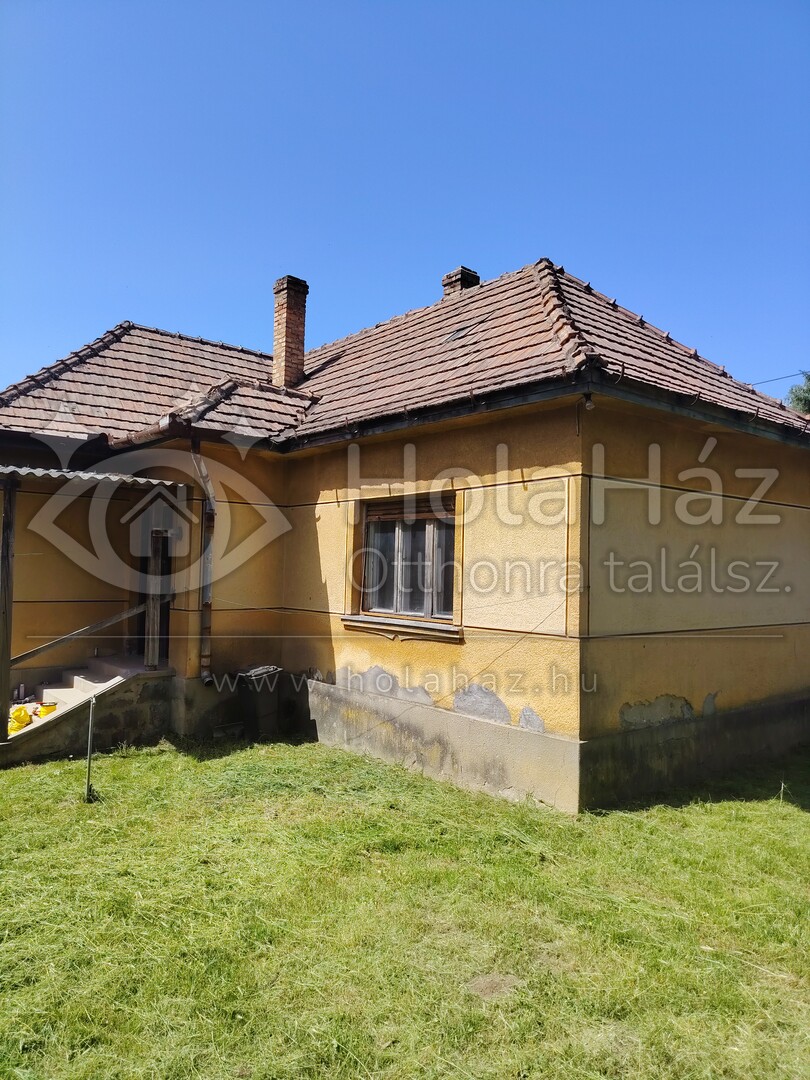 Ház