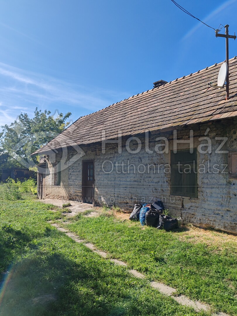 Ház