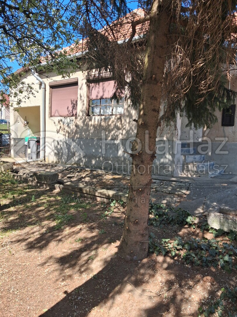 Ház
