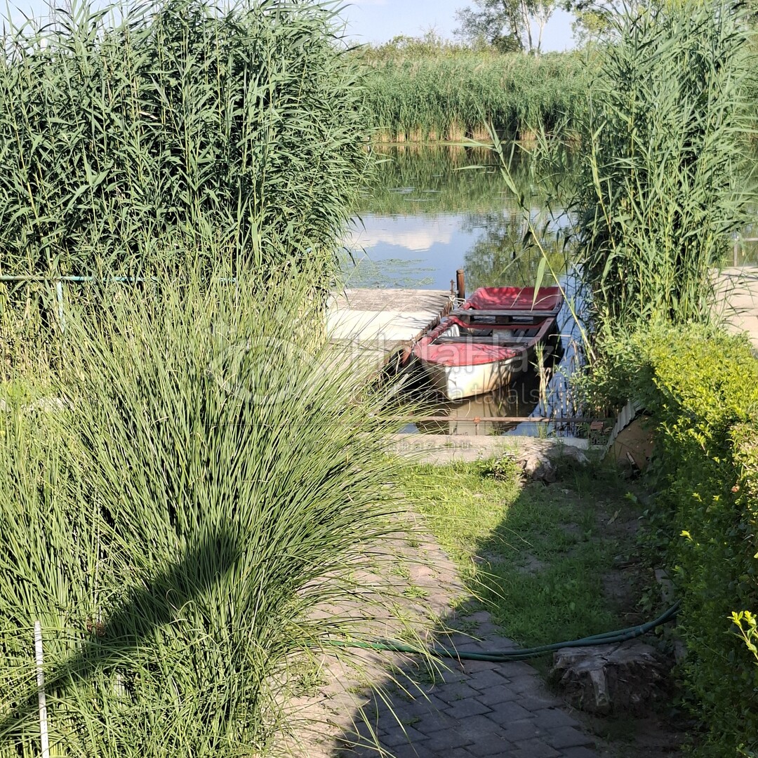 Vízpart