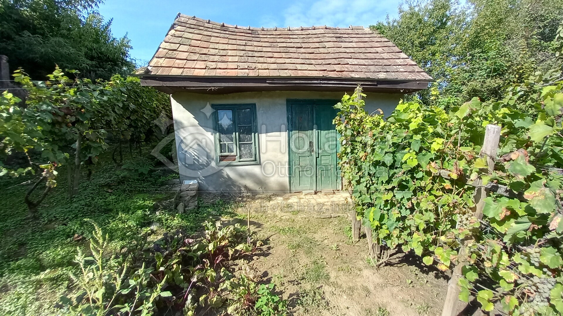Ház