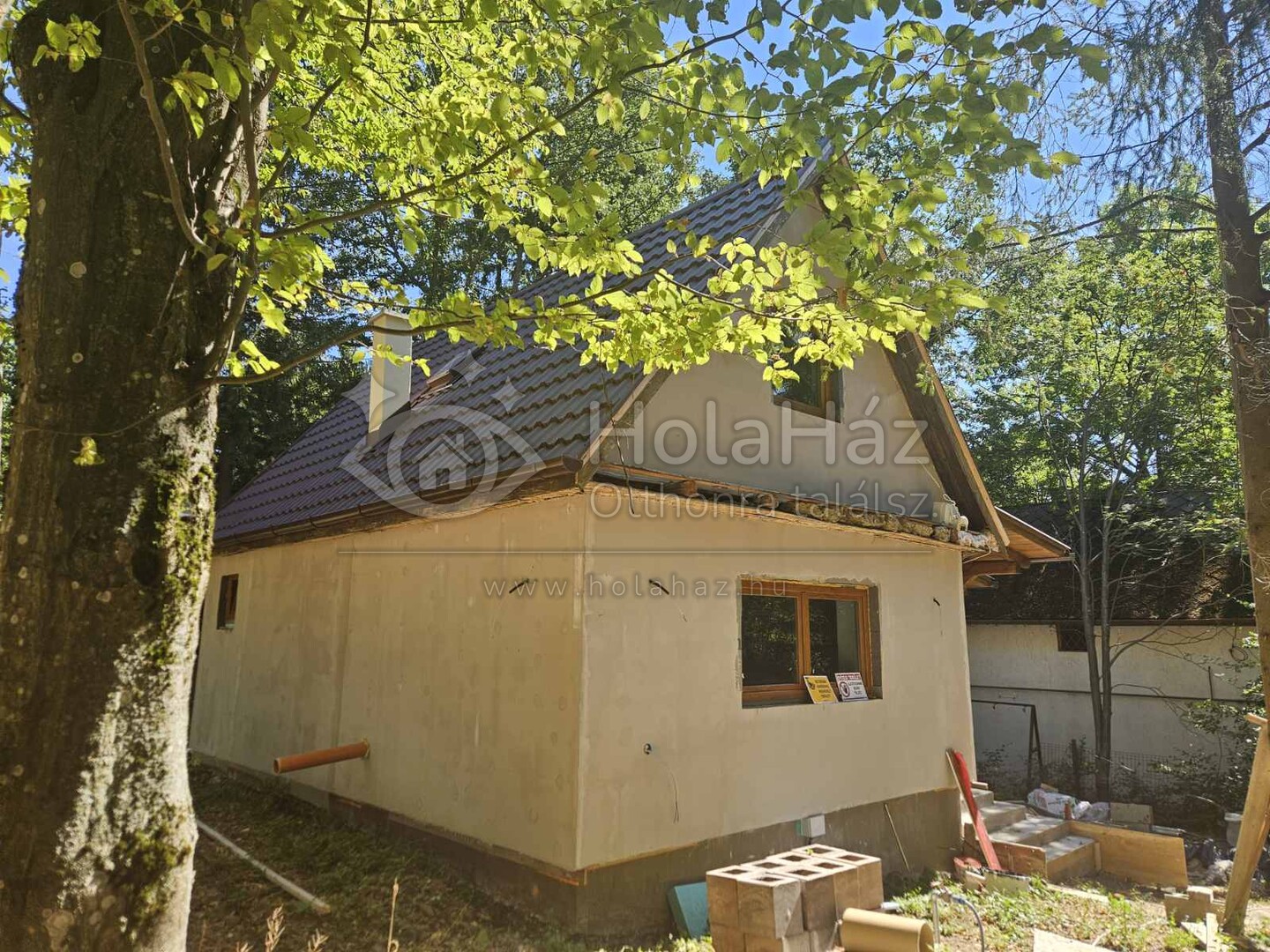 Ház