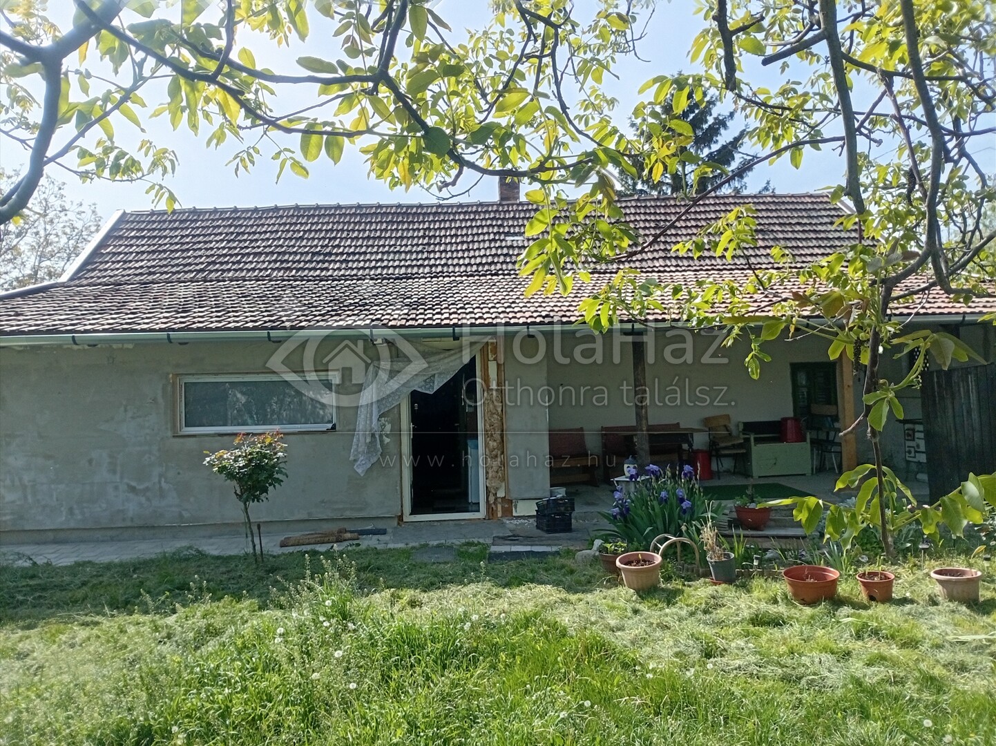 Ház