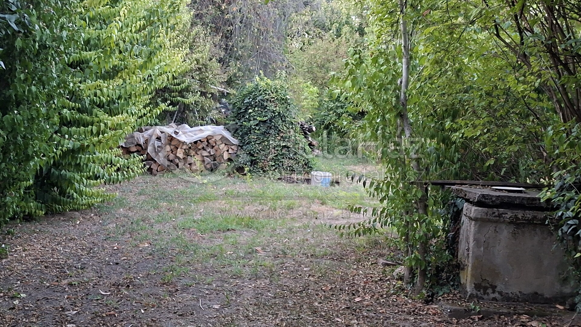 Udvar
