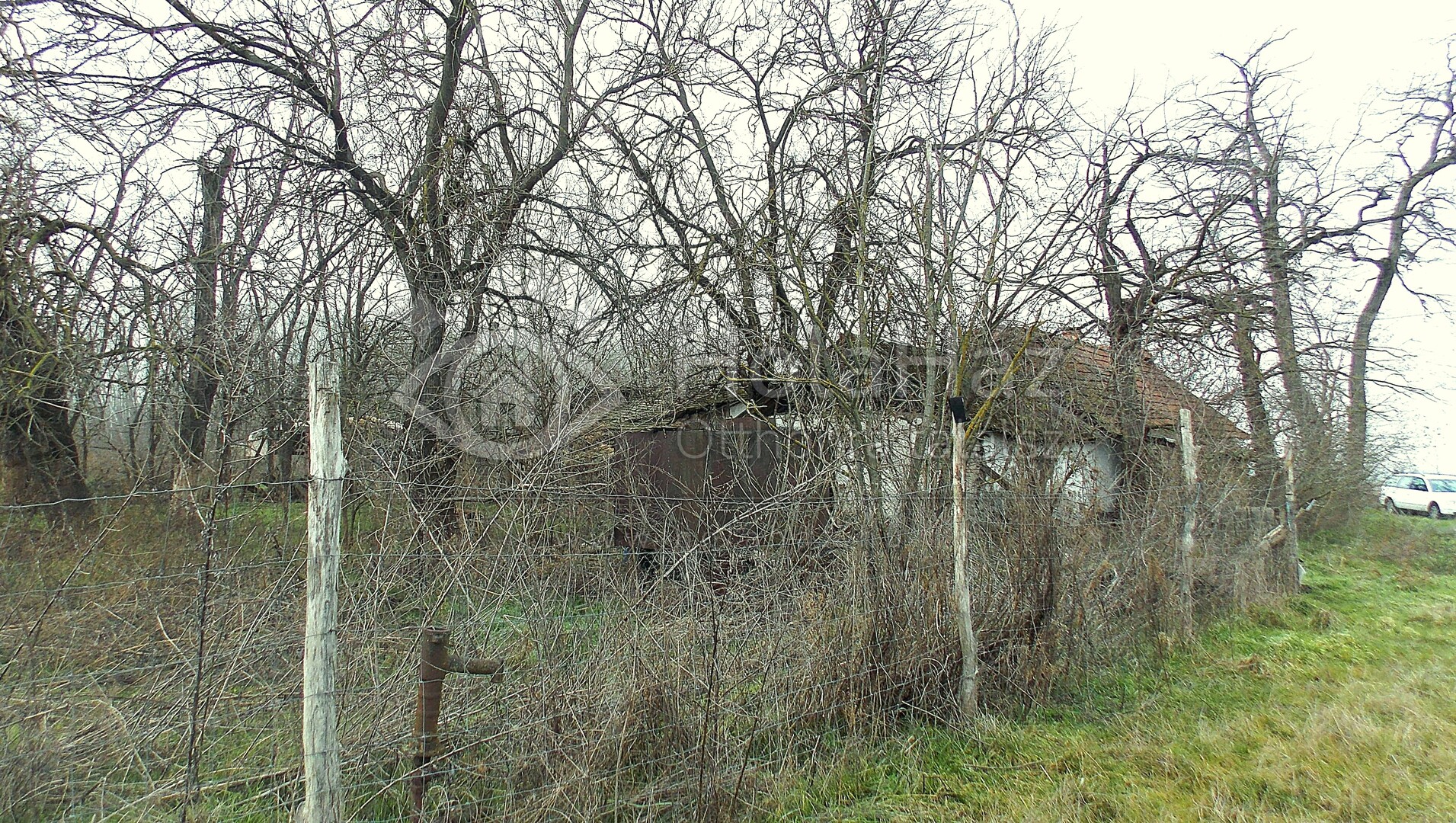 Telek