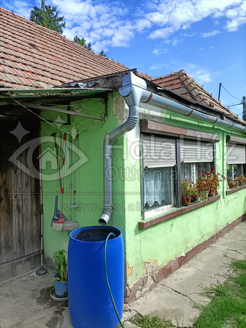 Ház