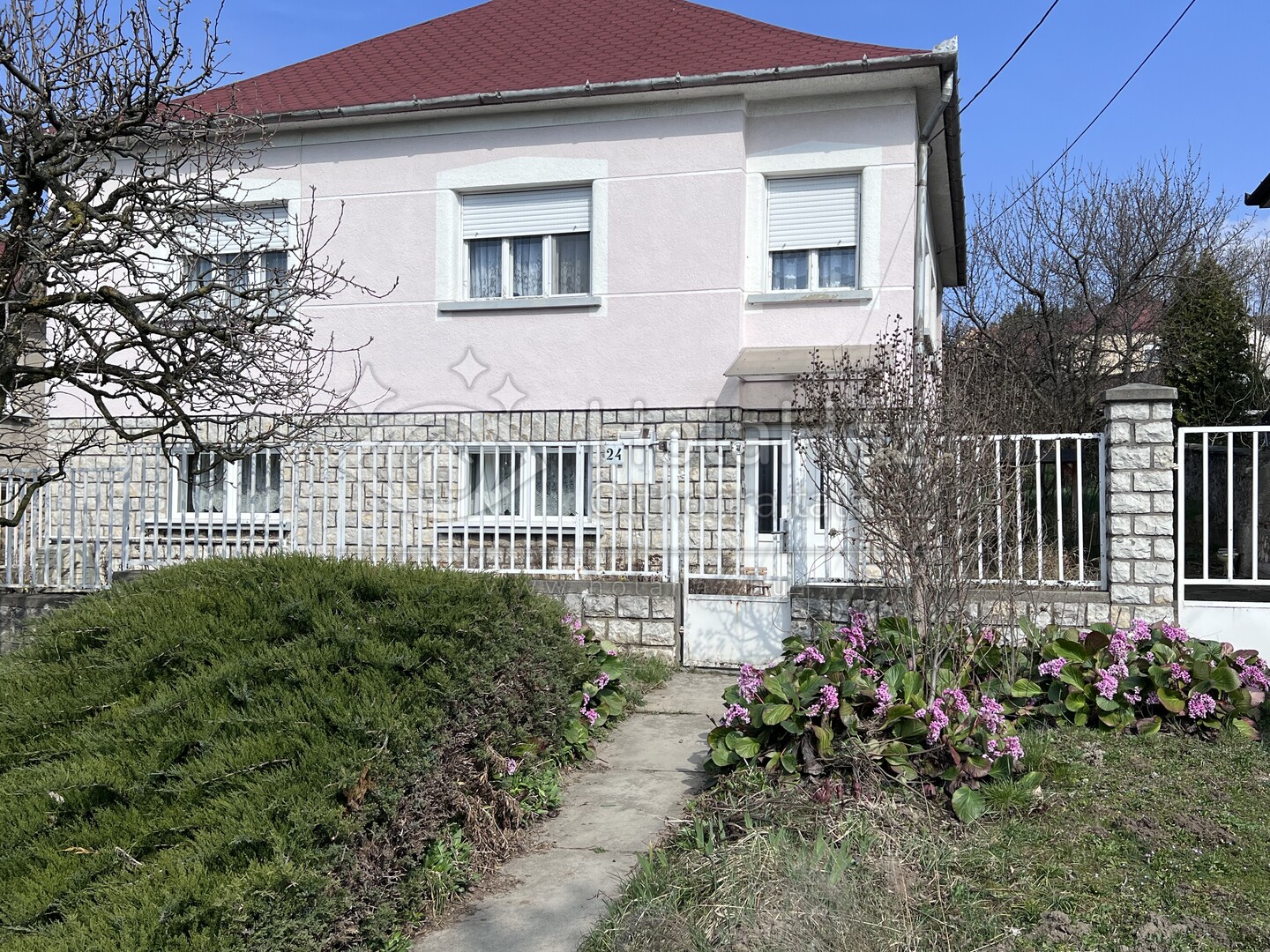 Ház