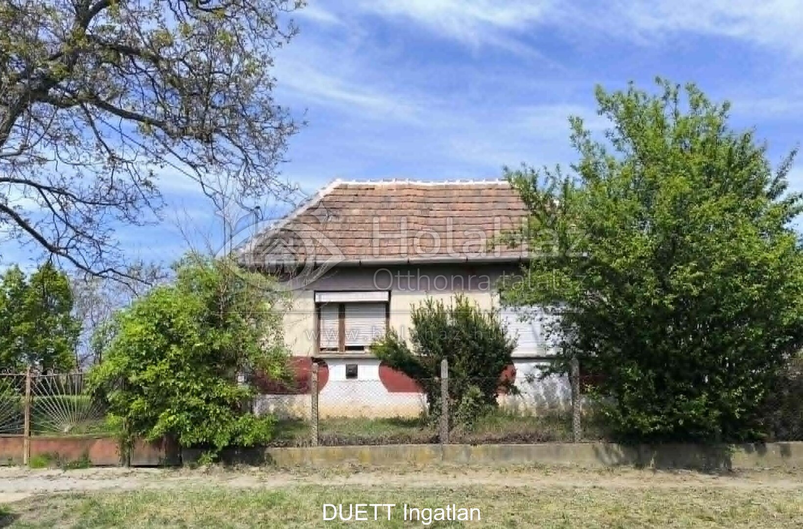 Ház