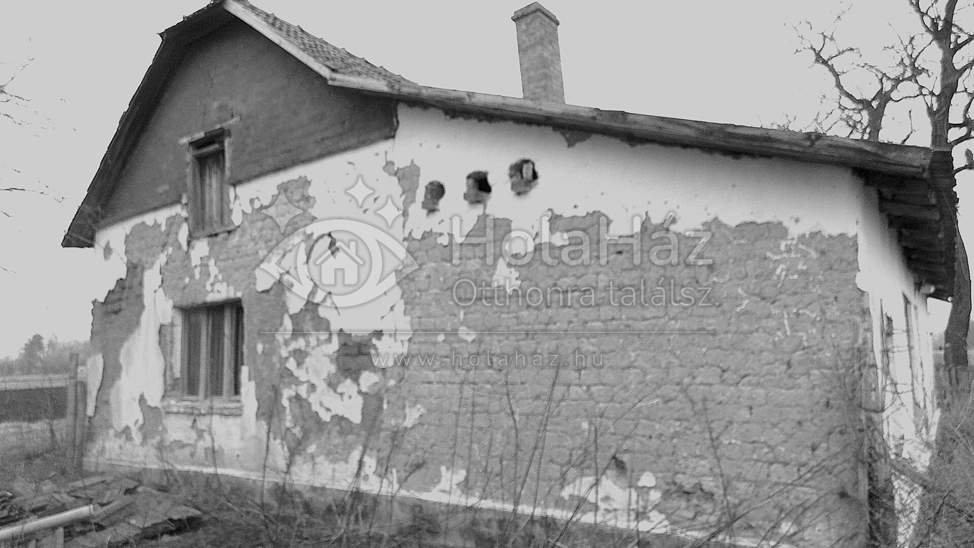 Ház