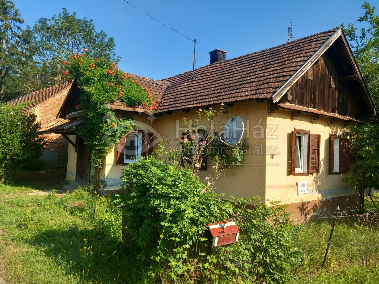 Ház