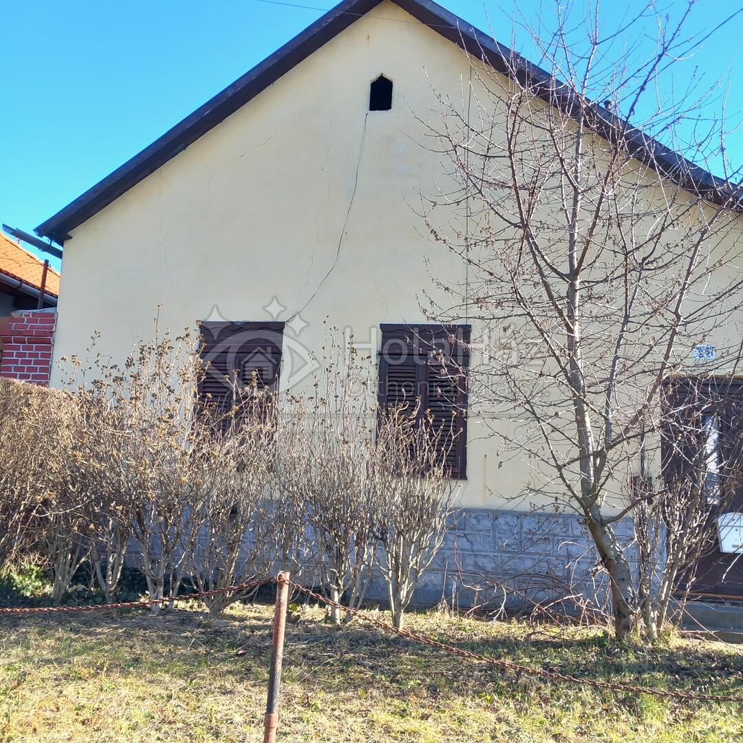 Ház