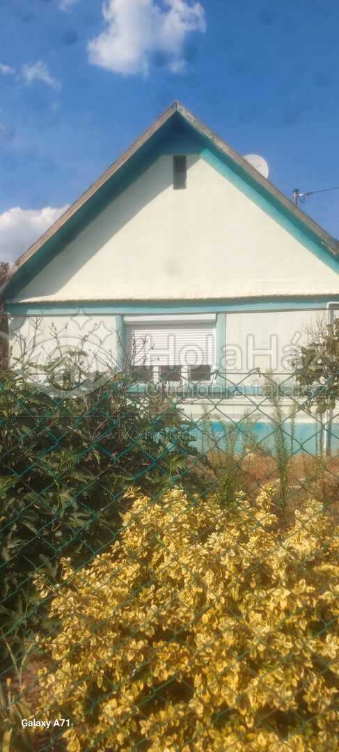 Ház