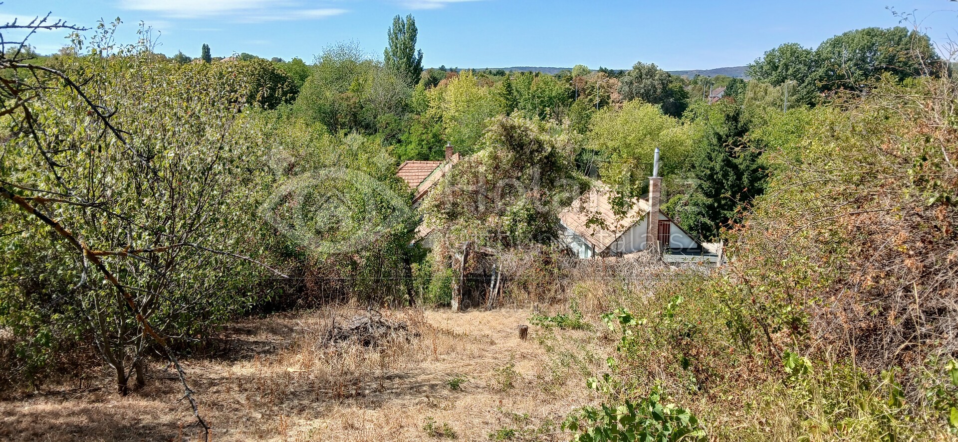 Telek