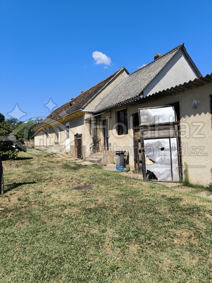 Ház
