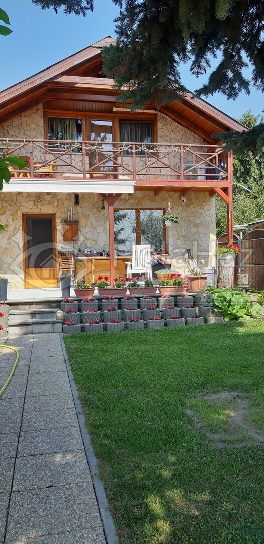 Ház