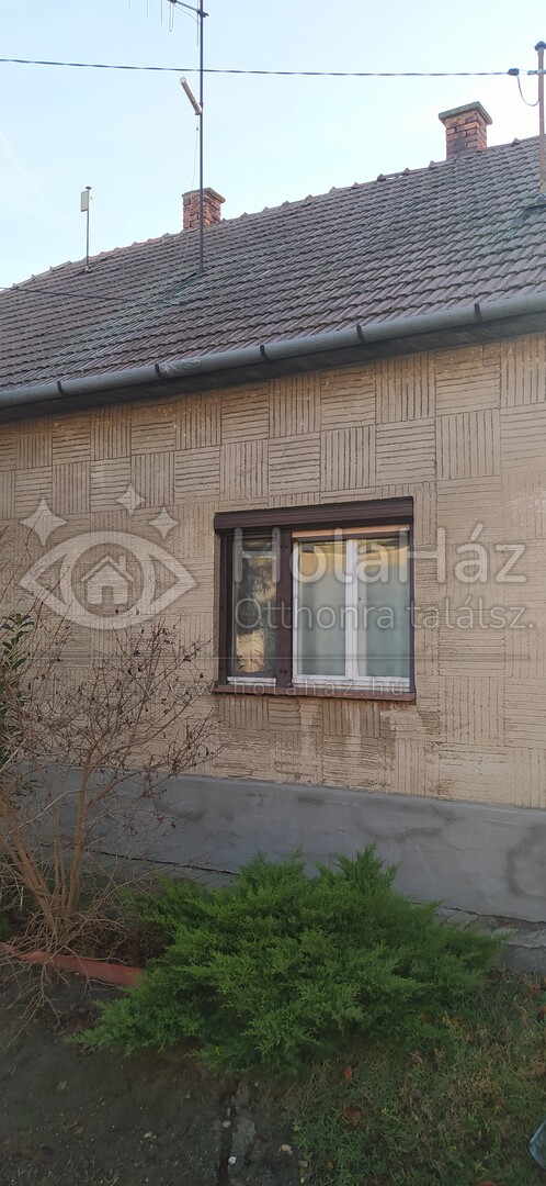 Ház