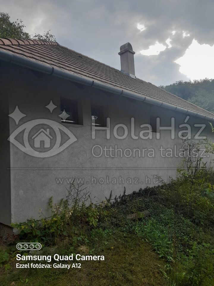 Ház