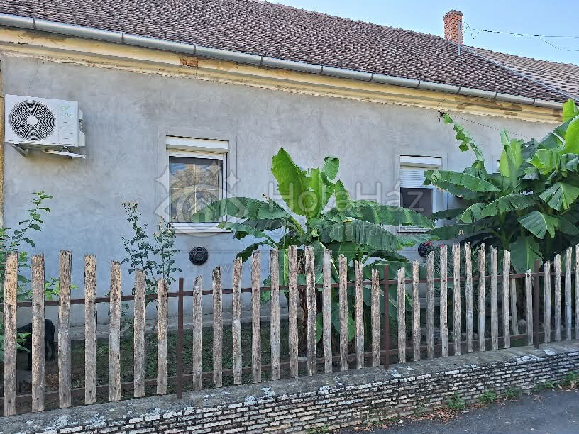 Homlokzat