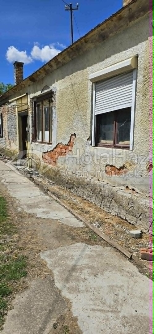 Ház