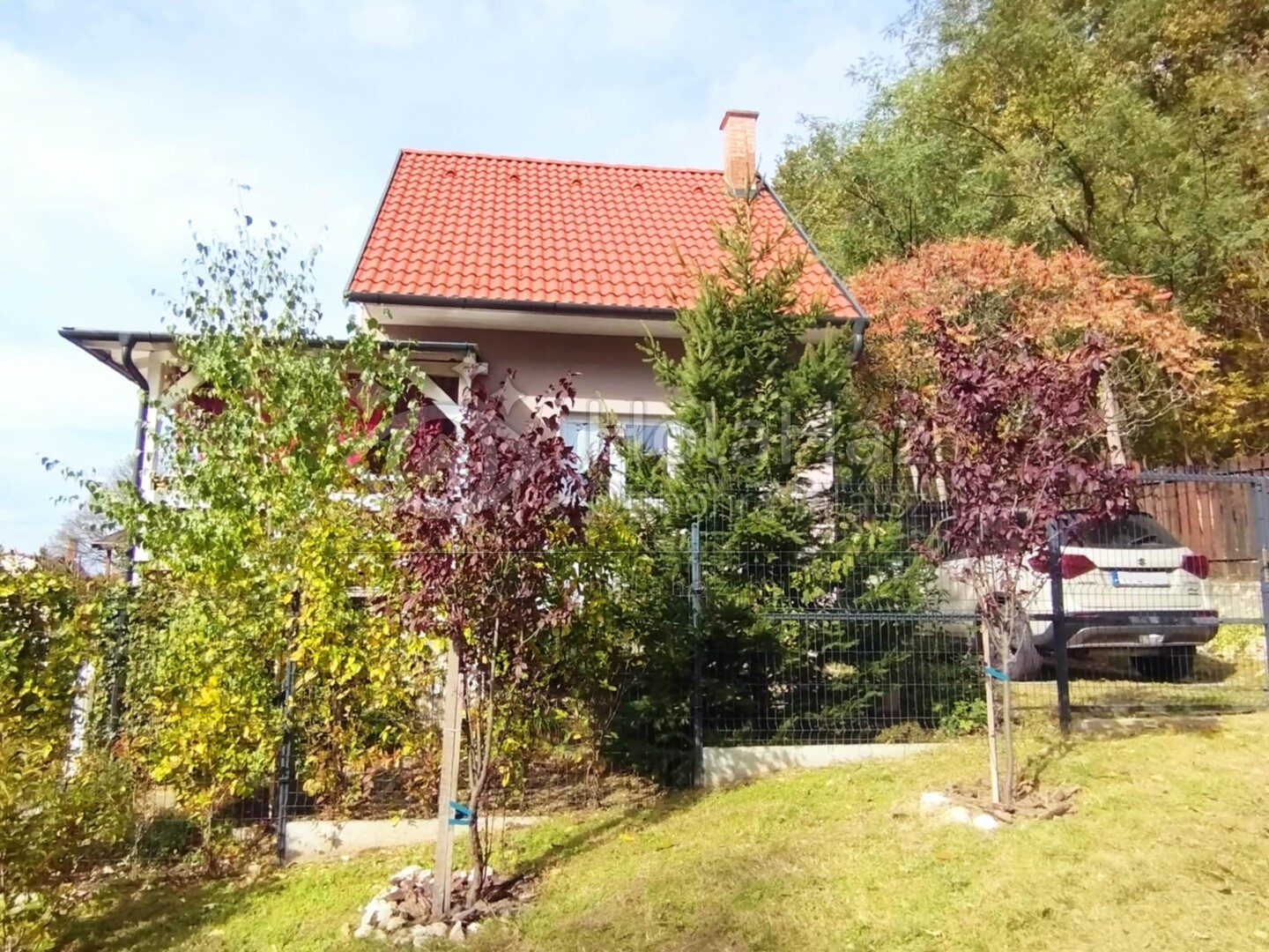 Ház