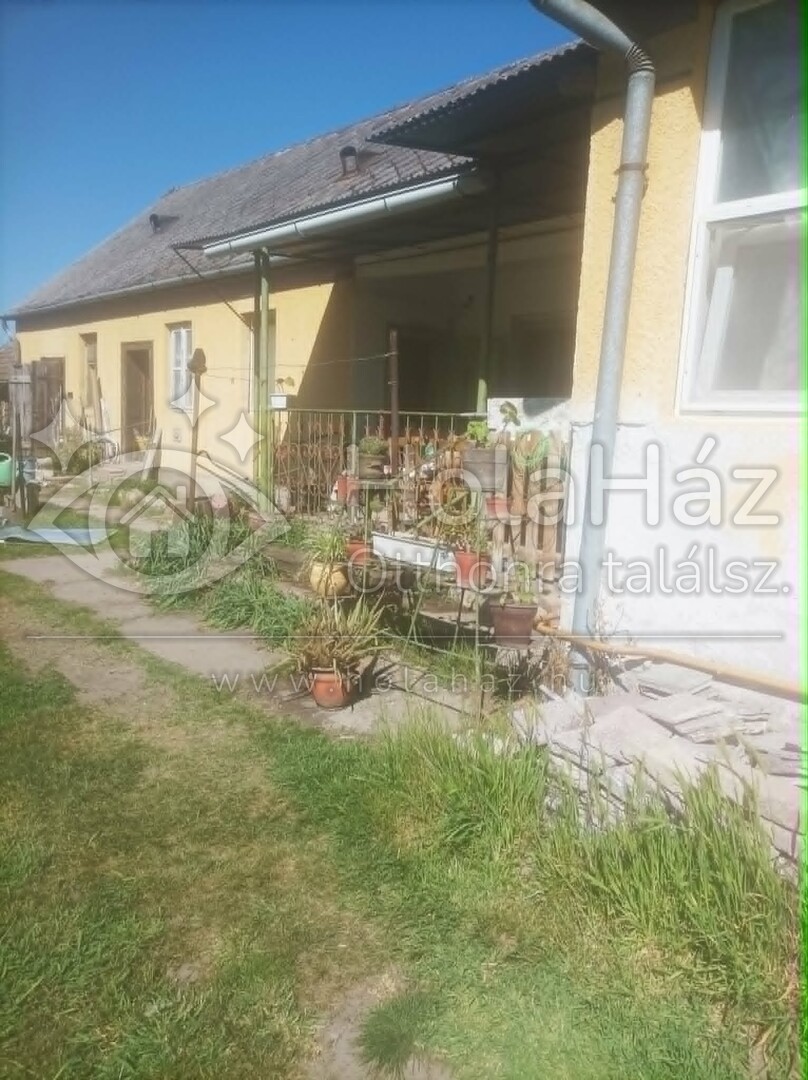 Ház