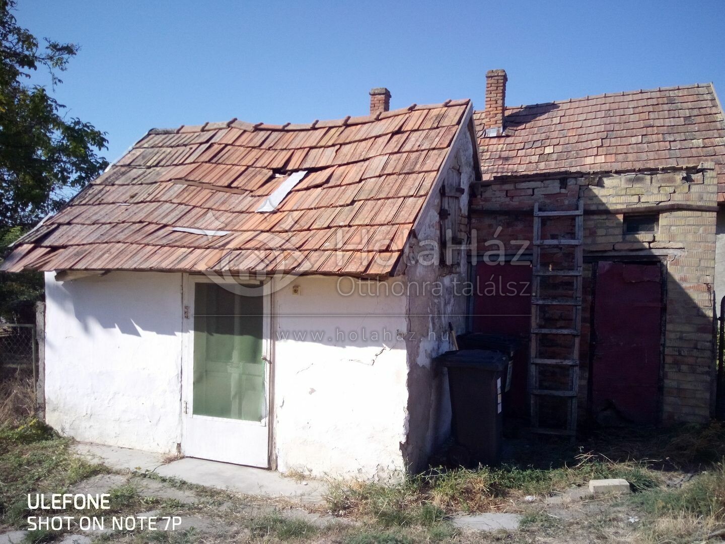 Ház