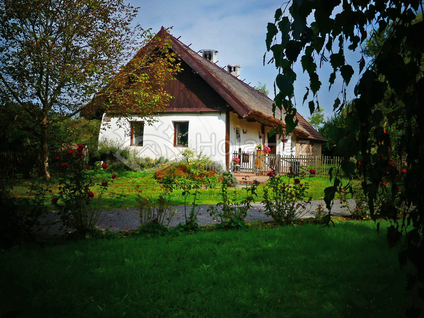 Ház