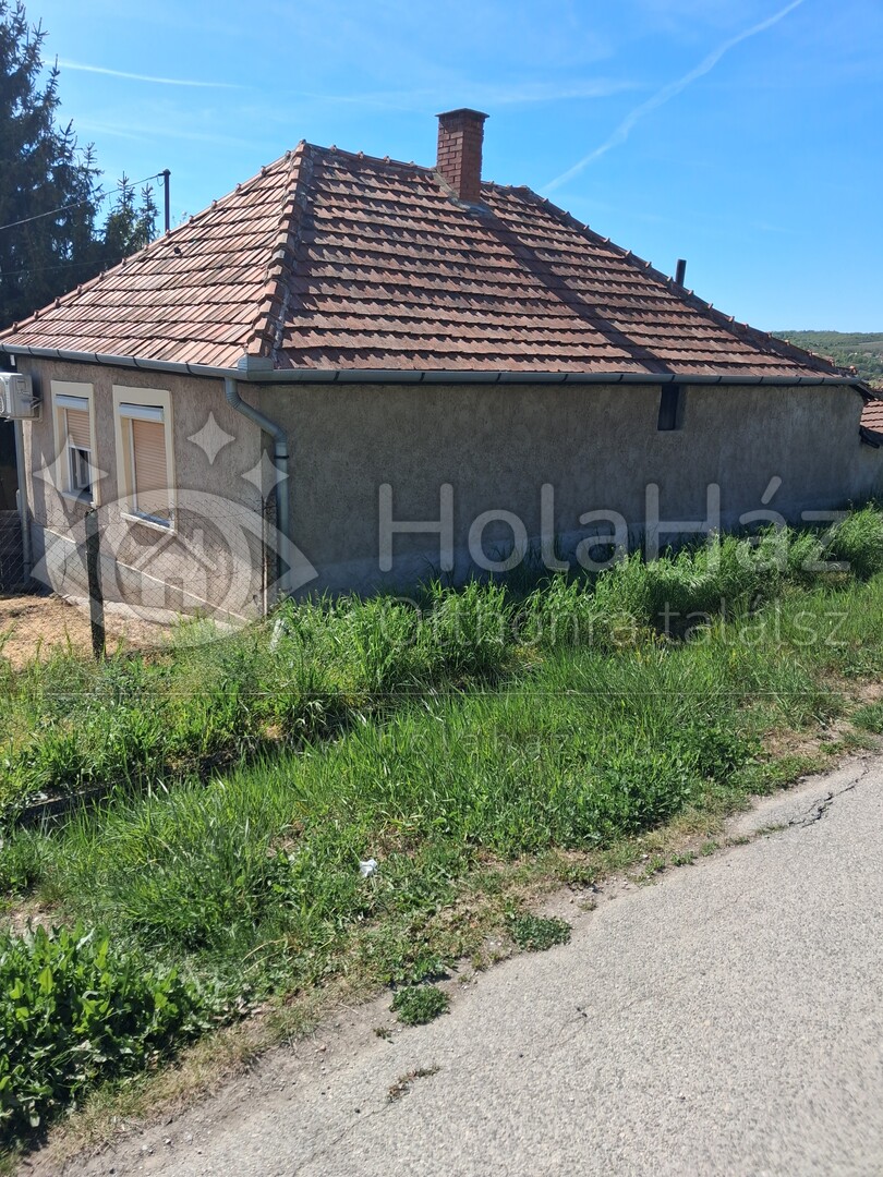 Ház