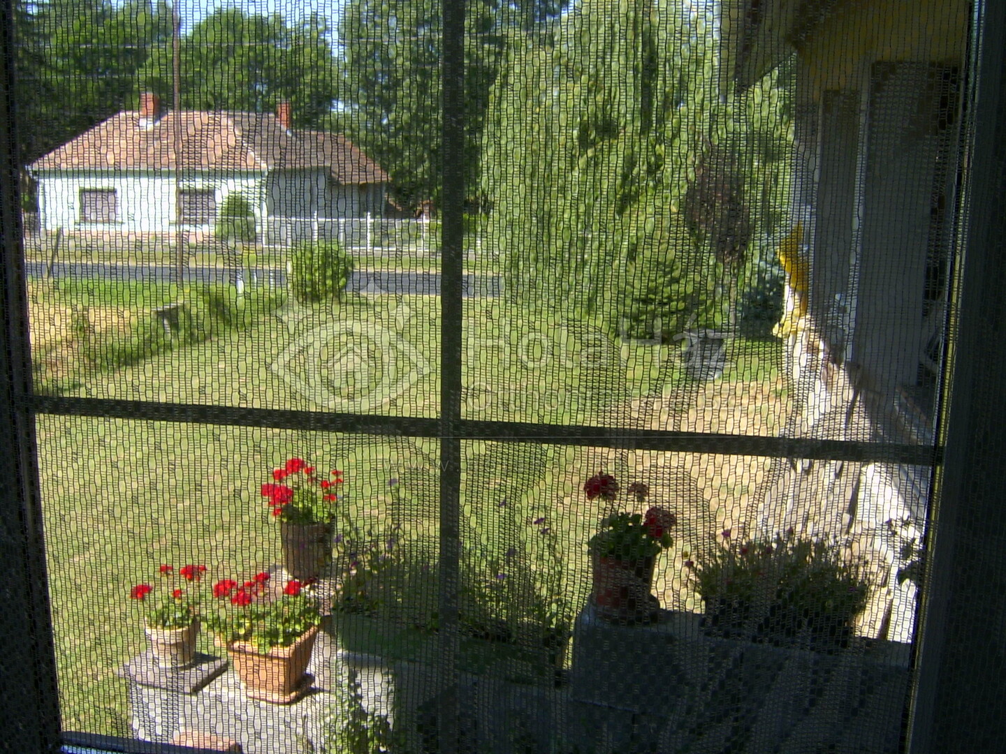 Kilátás
