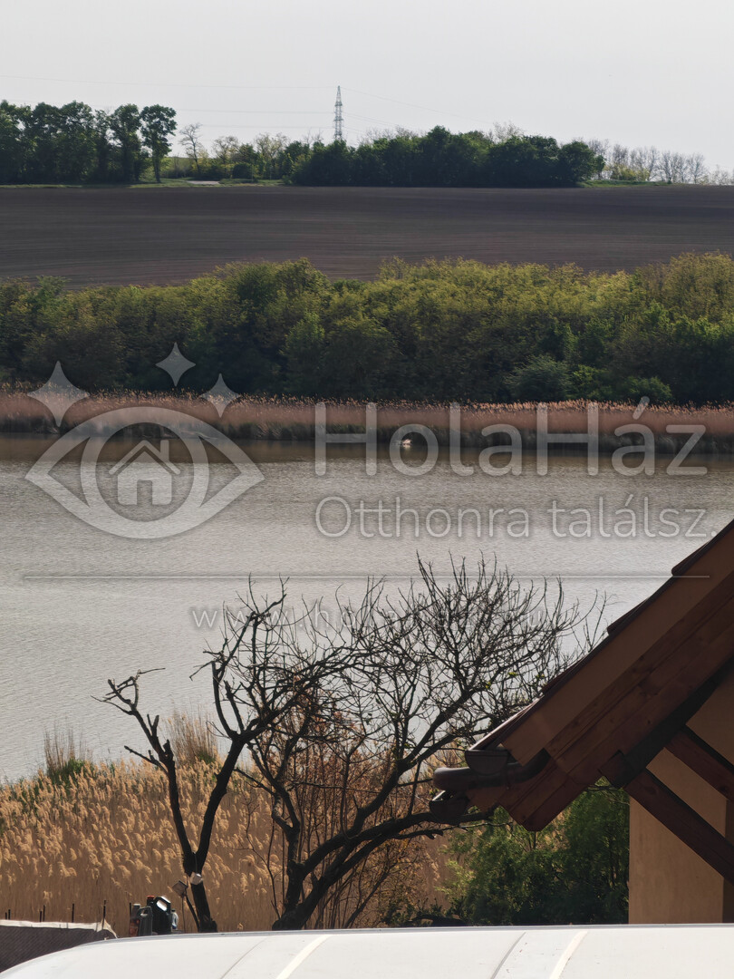 Vízpart