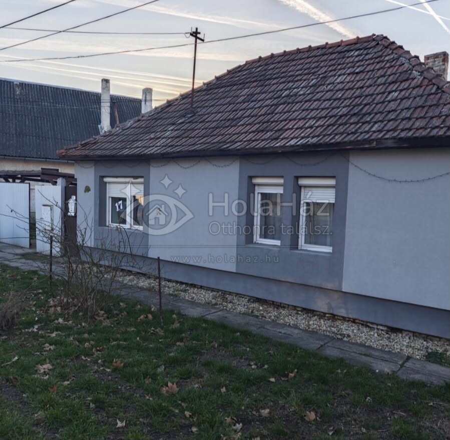 Ház